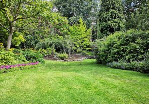Optimiser l'expérience du jardin à Ferney-Voltaire